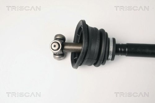 Pusašis TRISCAN 8540 25640