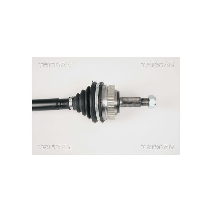 Pusašis TRISCAN 8540 25640