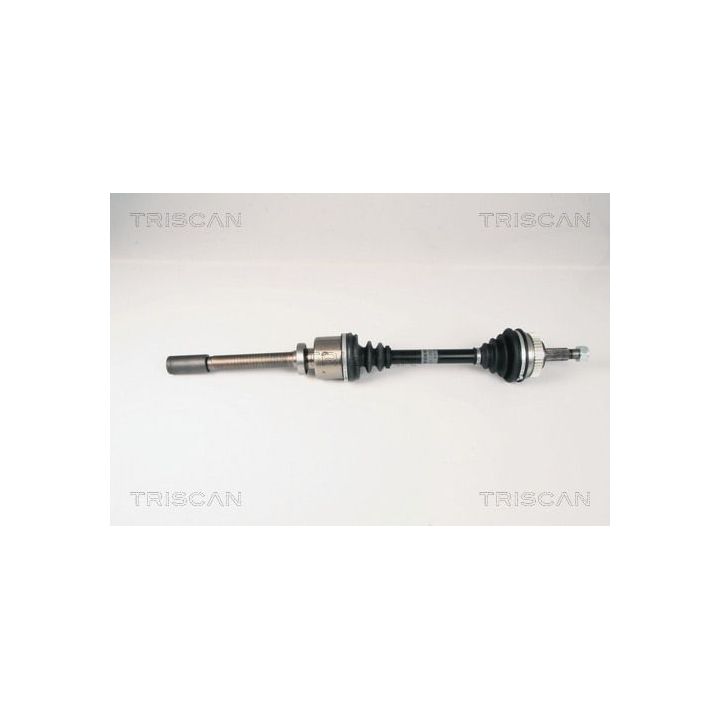 Pusašis TRISCAN 8540 25641