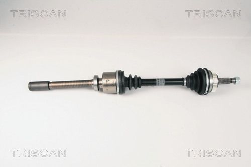 Pusašis TRISCAN 8540 25641