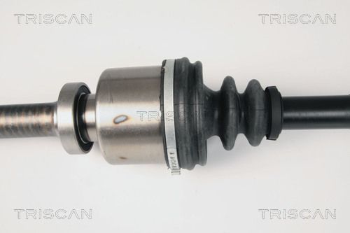 Pusašis TRISCAN 8540 25641