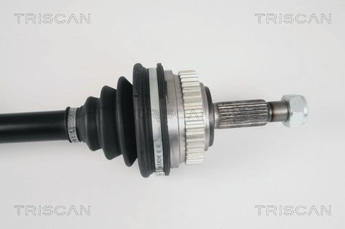 Pusašis TRISCAN 8540 25641