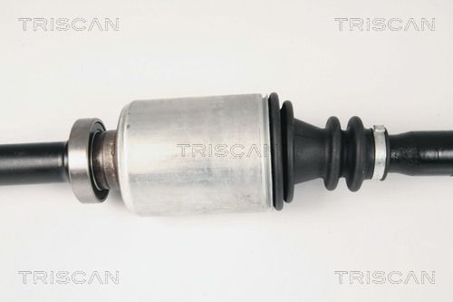 Pusašis TRISCAN 8540 25643