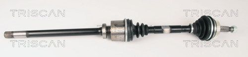 Pusašis TRISCAN 8540 25645