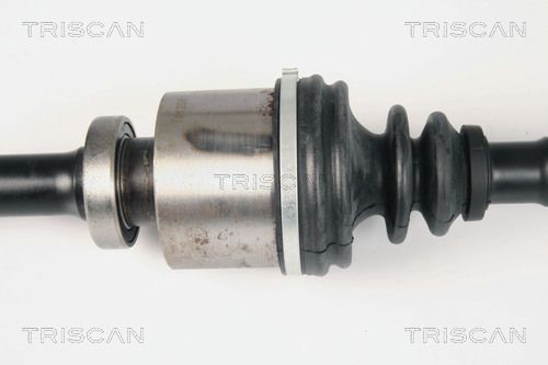 Pusašis TRISCAN 8540 25645