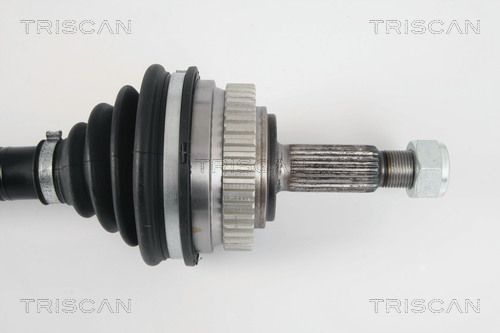 Pusašis TRISCAN 8540 25645