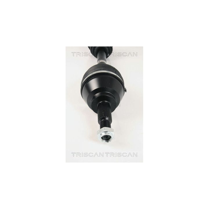 Pusašis TRISCAN 8540 25646