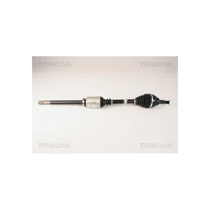 Pusašis TRISCAN 8540 25647