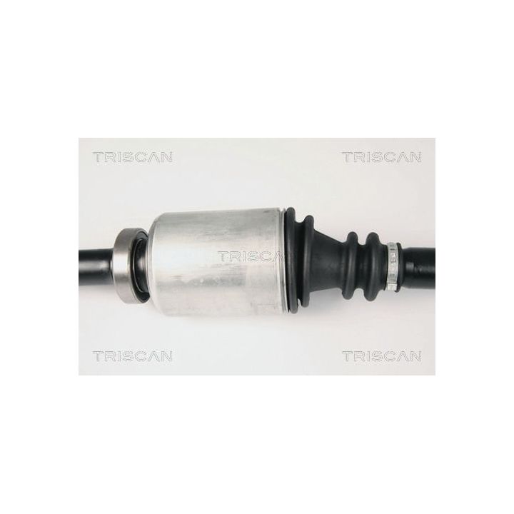 Pusašis TRISCAN 8540 25647