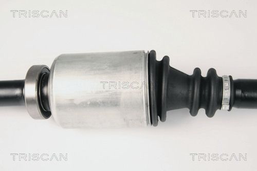 Pusašis TRISCAN 8540 25647