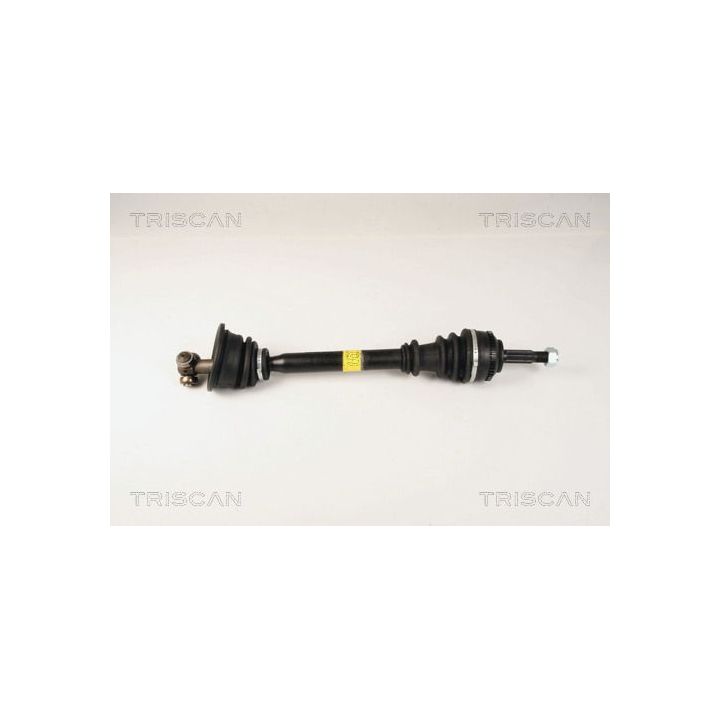 Pusašis TRISCAN 8540 25650