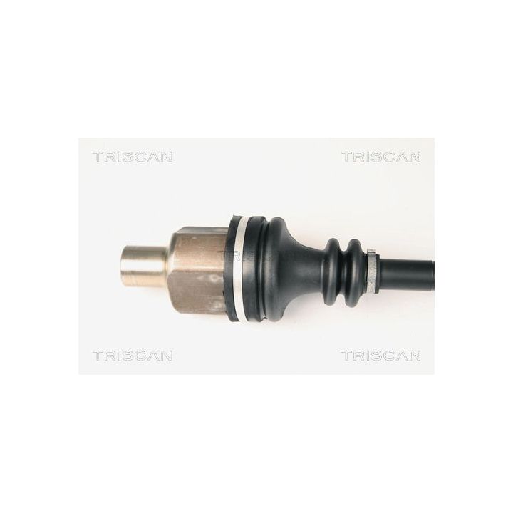 Pusašis TRISCAN 8540 25651