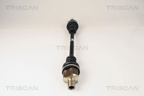 Pusašis TRISCAN 8540 25651