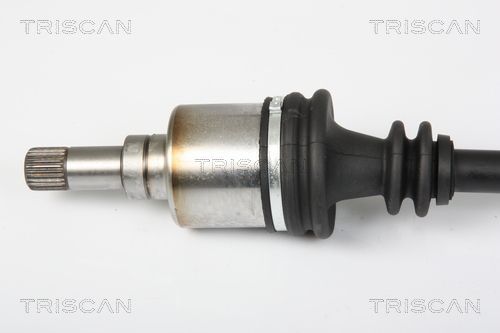 Pusašis TRISCAN 8540 25652