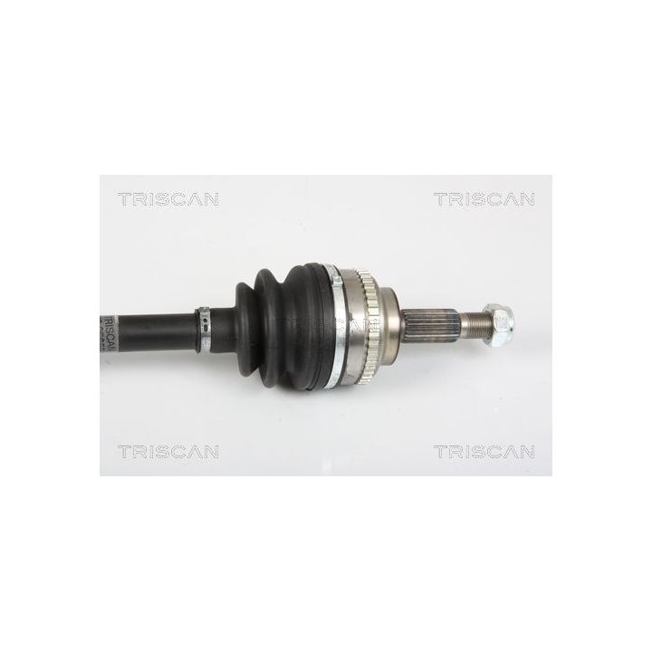 Pusašis TRISCAN 8540 25652