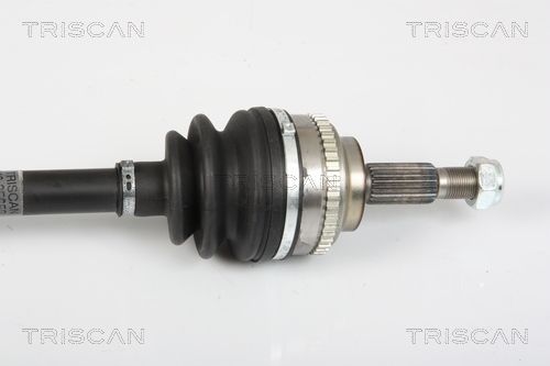 Pusašis TRISCAN 8540 25652