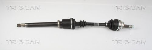 Pusašis TRISCAN 8540 25653