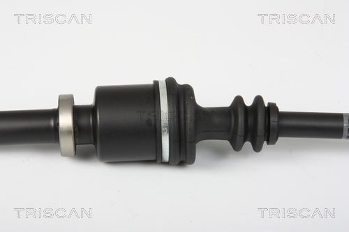 Pusašis TRISCAN 8540 25653