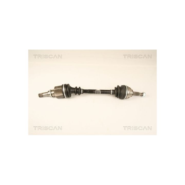 Pusašis TRISCAN 8540 25656