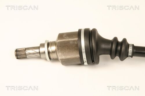 Pusašis TRISCAN 8540 25656