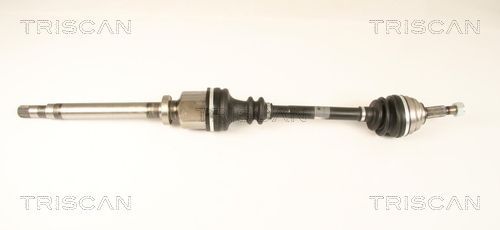 Pusašis TRISCAN 8540 25657
