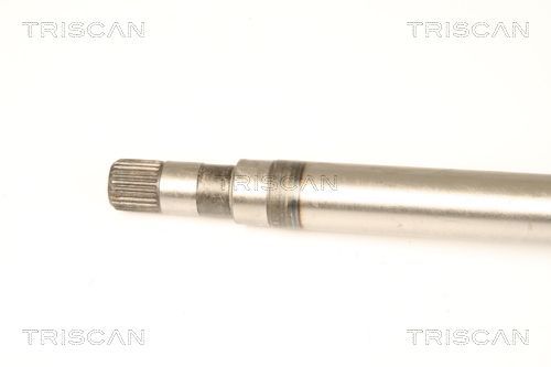 Pusašis TRISCAN 8540 25657