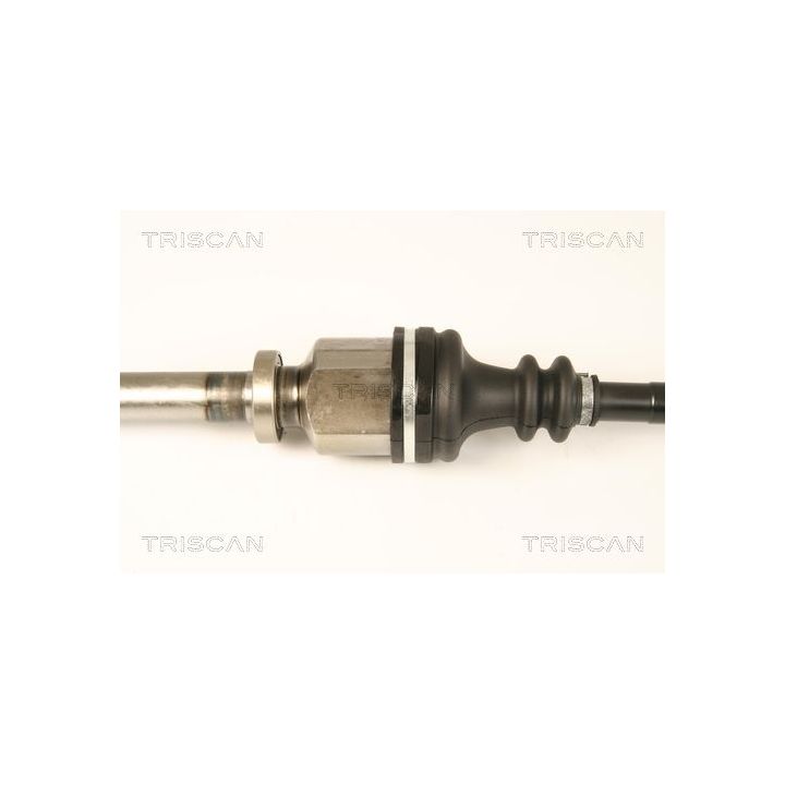 Pusašis TRISCAN 8540 25657