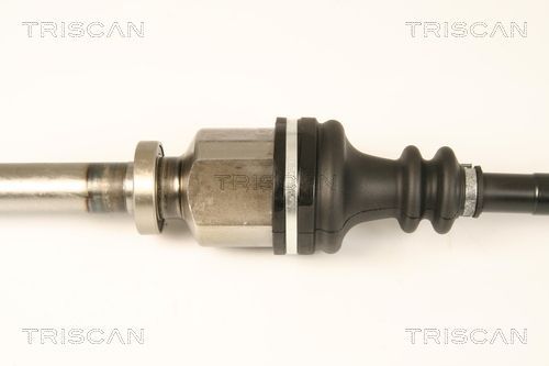 Pusašis TRISCAN 8540 25657