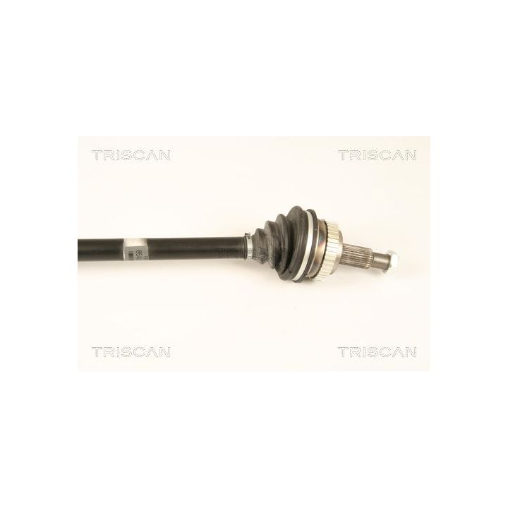 Pusašis TRISCAN 8540 25659