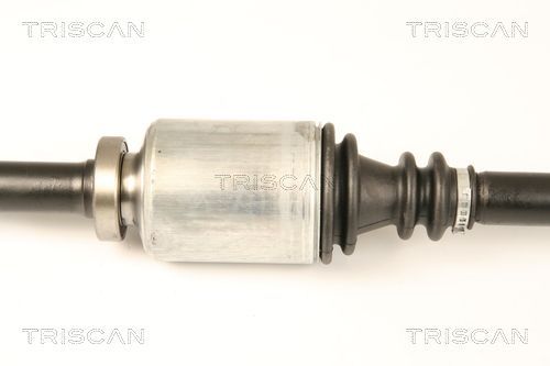 Pusašis TRISCAN 8540 25661