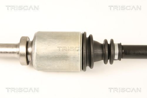 Pusašis TRISCAN 8540 25662