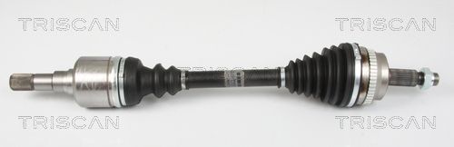 Pusašis TRISCAN 8540 25663