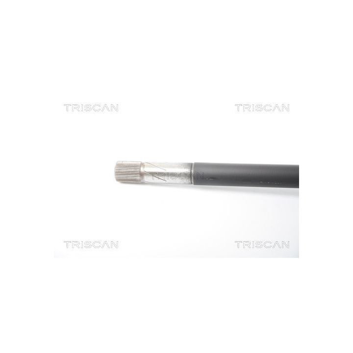 Pusašis TRISCAN 8540 25664