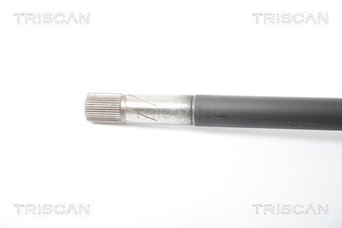 Pusašis TRISCAN 8540 25664