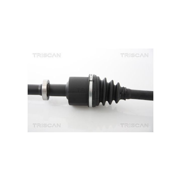 Pusašis TRISCAN 8540 25664