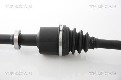 Pusašis TRISCAN 8540 25664