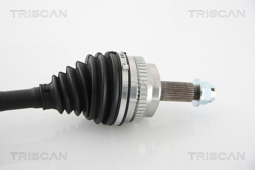 Pusašis TRISCAN 8540 25664