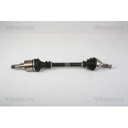 Pusašis TRISCAN 8540 25666