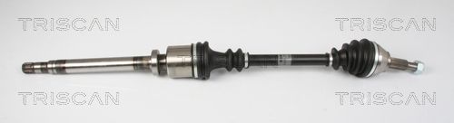 Pusašis TRISCAN 8540 25667