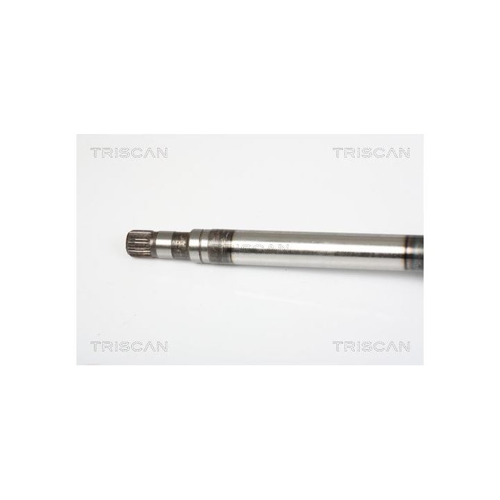 Pusašis TRISCAN 8540 25667