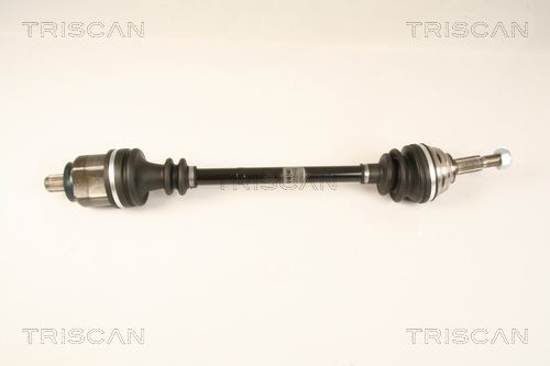 Pusašis TRISCAN 8540 25668