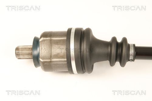 Pusašis TRISCAN 8540 25668