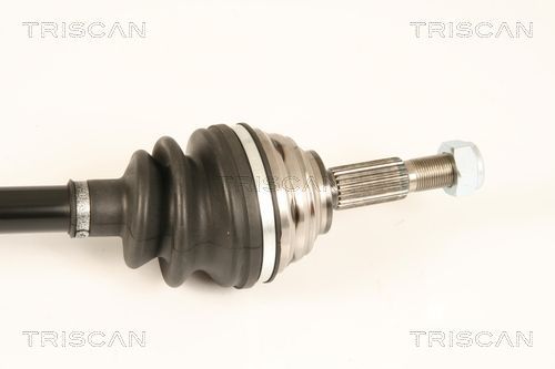 Pusašis TRISCAN 8540 25668