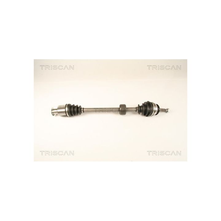 Pusašis TRISCAN 8540 25673