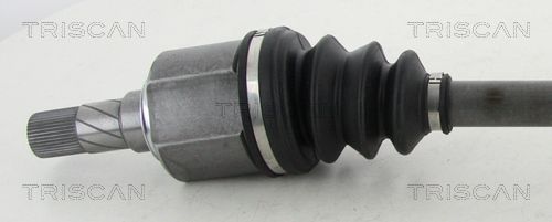 Pusašis TRISCAN 8540 25674