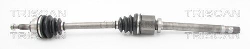 Pusašis TRISCAN 8540 25675