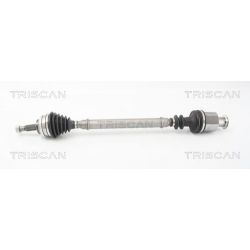 Pusašis TRISCAN 8540 25676