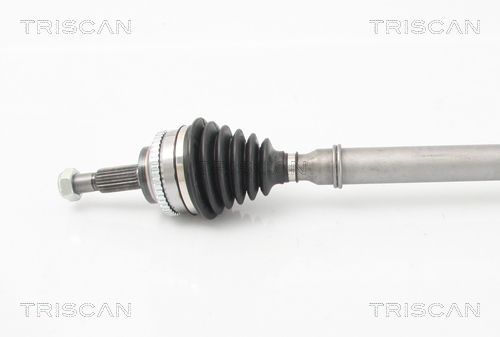 Pusašis TRISCAN 8540 25676