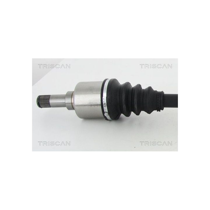 Pusašis TRISCAN 8540 25681