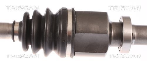 Pusašis TRISCAN 8540 25682